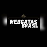 WEBGATAS BRASIL • VIRTUAL